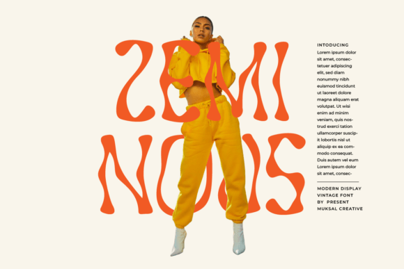 Zeminous: A Retro Display Font for Web Design